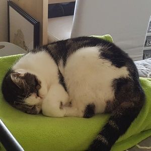 Meet your Posher, Hillary